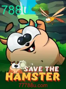 SavetheHamster: Uma Aventura Inovadora no Mundo dos Games
